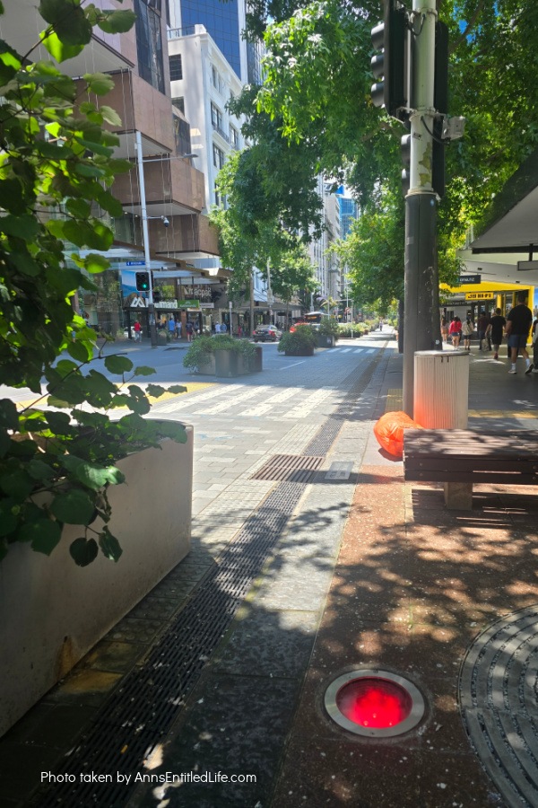 Auckland, New Zealand – Sightseeing and Our Itinerary. Our Auckland  trip with attractions, scenic views, and local food highlights. This was a lovely sightseeing adventure in New Zealand.
