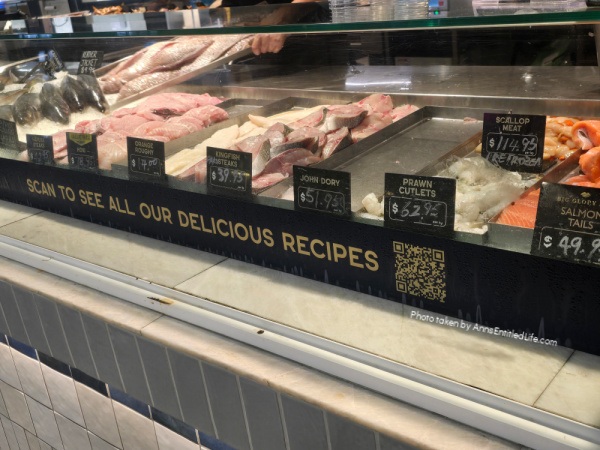 Auckland, New Zealand – Sightseeing and Our Itinerary. Our Auckland  trip with attractions, scenic views, and local food highlights. This was a lovely sightseeing adventure in New Zealand.