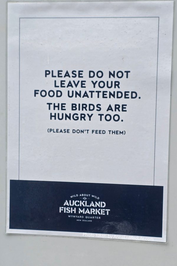 Auckland, New Zealand – Sightseeing and Our Itinerary. Our Auckland  trip with attractions, scenic views, and local food highlights. This was a lovely sightseeing adventure in New Zealand.