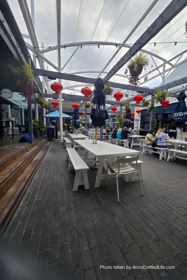 Auckland, New Zealand – Sightseeing and Our Itinerary. Our Auckland  trip with attractions, scenic views, and local food highlights. This was a lovely sightseeing adventure in New Zealand.