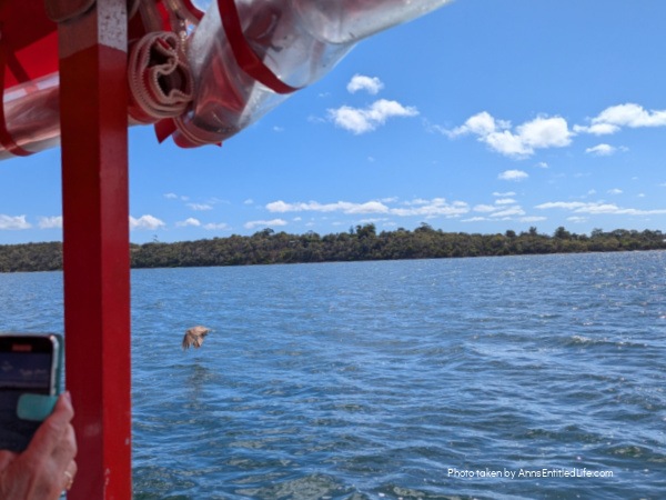 Adelaide to Perth: Our Australia Travel Stops Adelaide to Perth: Our Australia Travel Stops. Explore Adelaide, Port Lincoln, Esperance, Albany, Fremantle, and Perth with tips on scenic drives, coastal towns, local highlights, and travel planning advice.