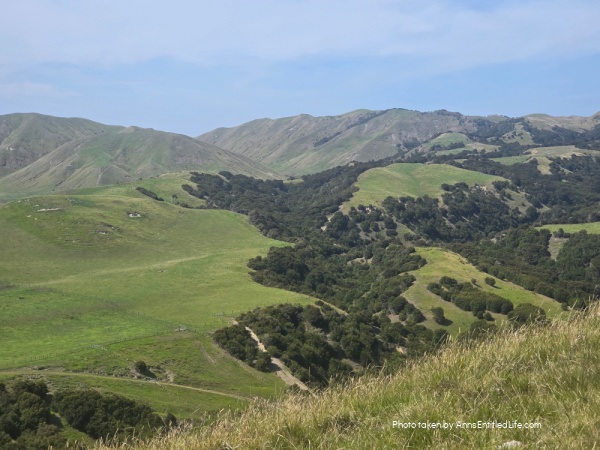 Exploring New Zealand North Island. Our trip to New Zealand's North Island with must-see destinations, travel tips, and itinerary.  It was an unforgettable adventure across a stunning region.