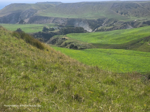 Exploring New Zealand North Island. Our trip to New Zealand's North Island with must-see destinations, travel tips, and itinerary.  It was an unforgettable adventure across a stunning region.