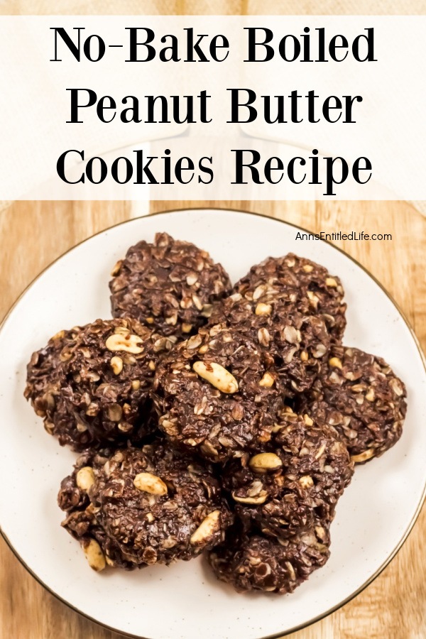 Overhead view of a white plate filled with no-bake boiled peanut butter cookies