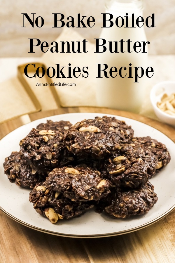 Side view of a white plate filled with no-bake boiled peanut butter cookies