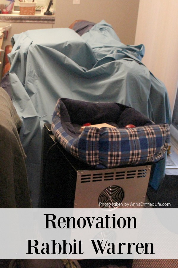 Renovations Archives - Page 4 of 5 - Ann's Entitled Life