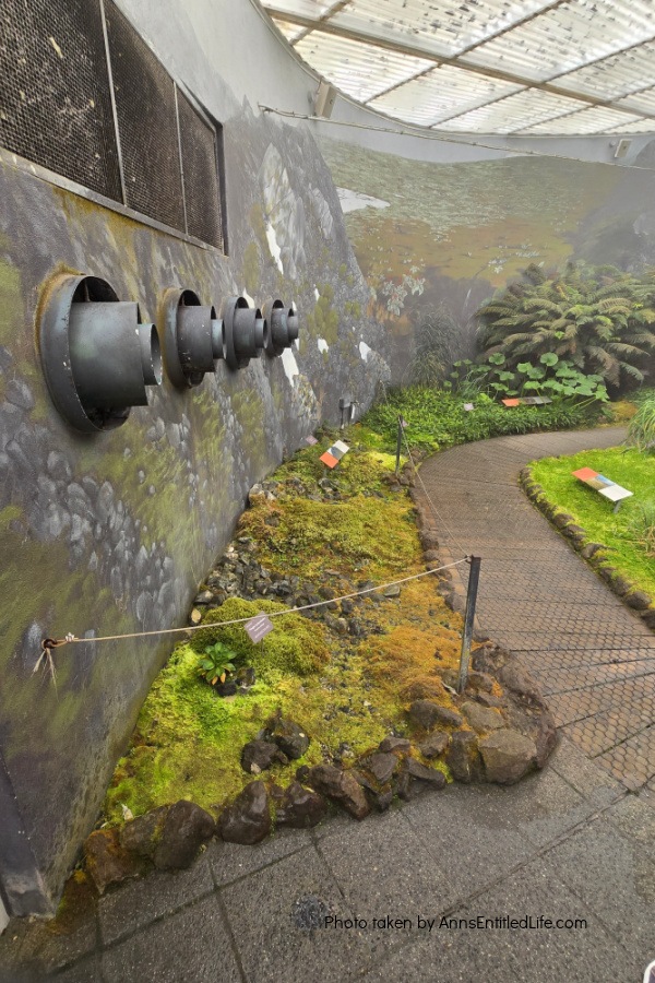 Two Days in Tasmania: Short Stay Itinerary. Plan the perfect 2-day trip to Tasmania, Australia with must-see attractions, travel tips, and a detailed itinerary to make the most of your short stay.