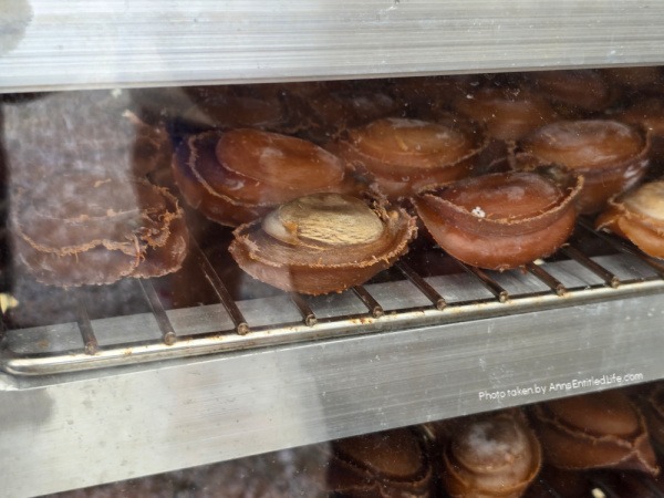 Two Days in Tasmania: Short Stay Itinerary. Plan the perfect 2-day trip to Tasmania, Australia with must-see attractions, travel tips, and a detailed itinerary to make the most of your short stay.