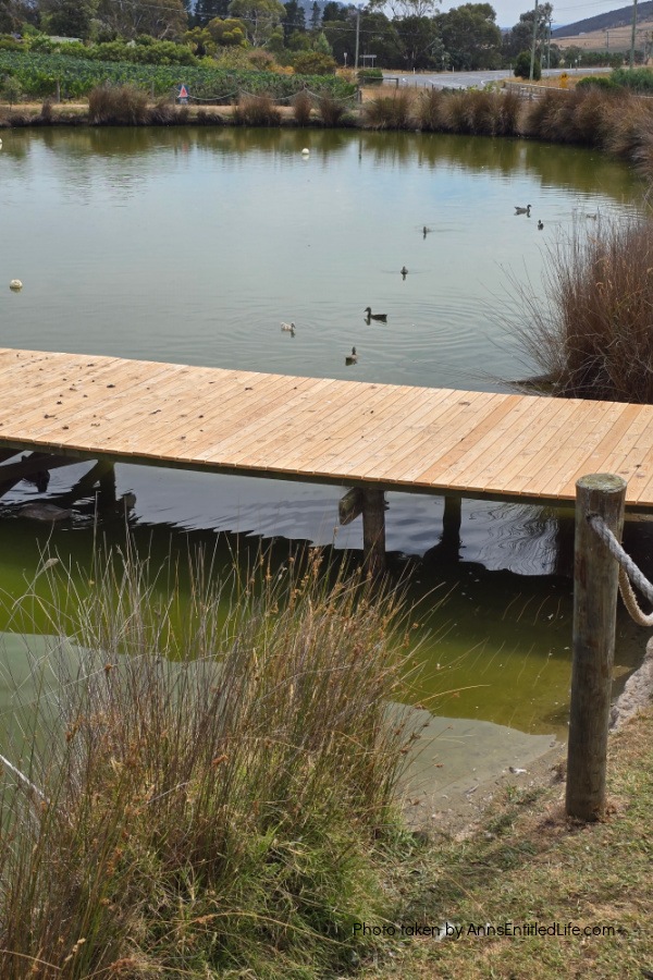 Two Days in Tasmania: Short Stay Itinerary. Plan the perfect 2-day trip to Tasmania, Australia with must-see attractions, travel tips, and a detailed itinerary to make the most of your short stay.