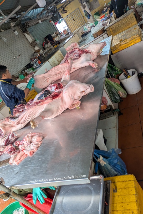 One Week in Vietnam: Our 7-Day Adventure. From the streets of Ho Chi Minh City to Ha Long Bay's emerald waters and beyond, this our personal itinerary packed with sights, street food, and cultural highlights.