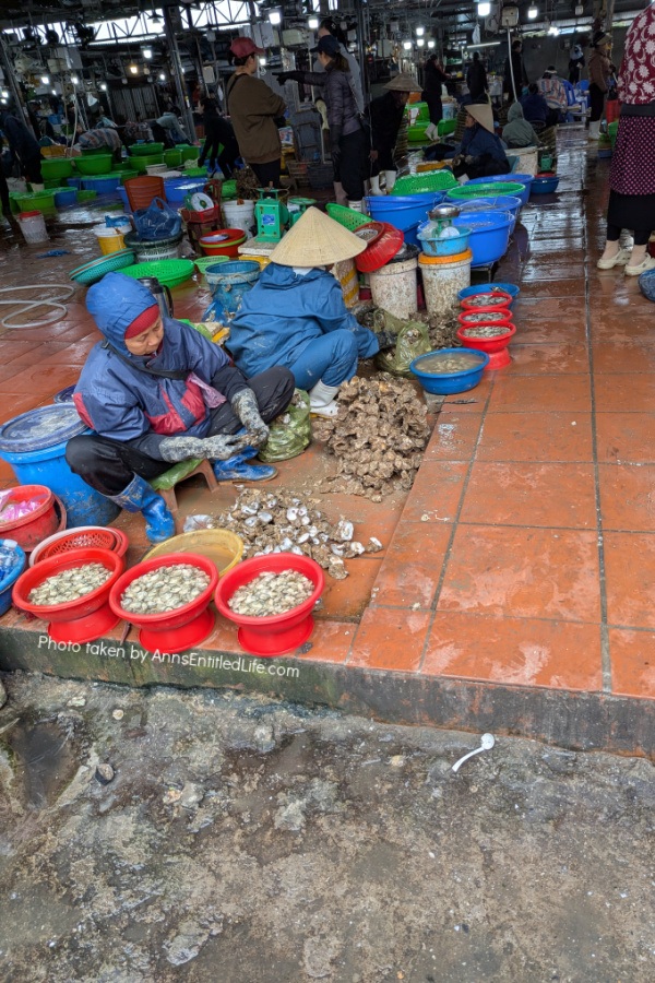 One Week in Vietnam: Our 7-Day Adventure. From the streets of Ho Chi Minh City to Ha Long Bay's emerald waters and beyond, this our personal itinerary packed with sights, street food, and cultural highlights.