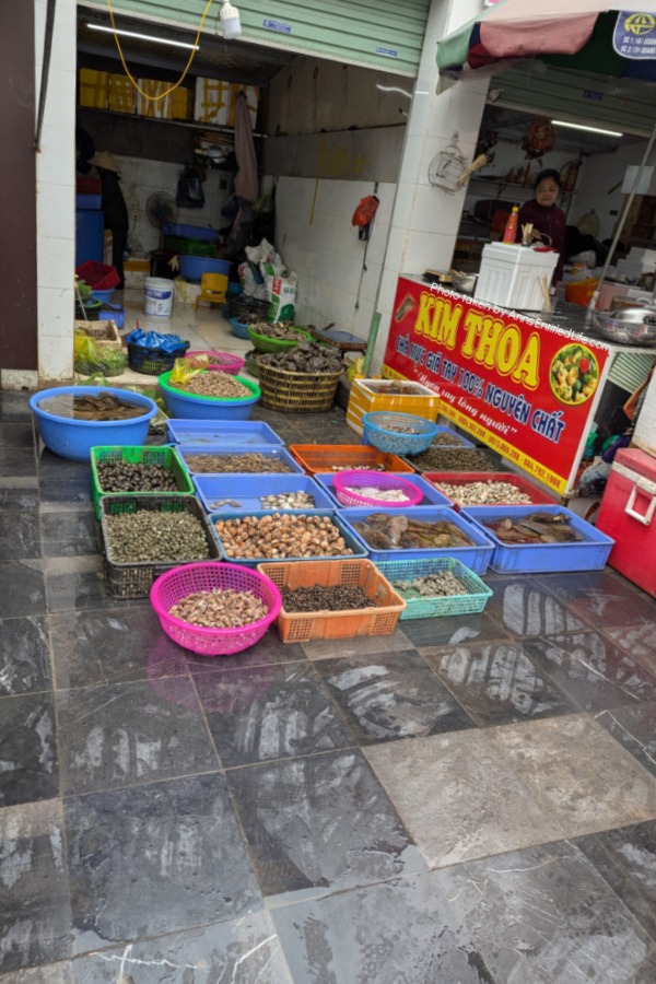 One Week in Vietnam: Our 7-Day Adventure. From the streets of Ho Chi Minh City to Ha Long Bay's emerald waters and beyond, this our personal itinerary packed with sights, street food, and cultural highlights.