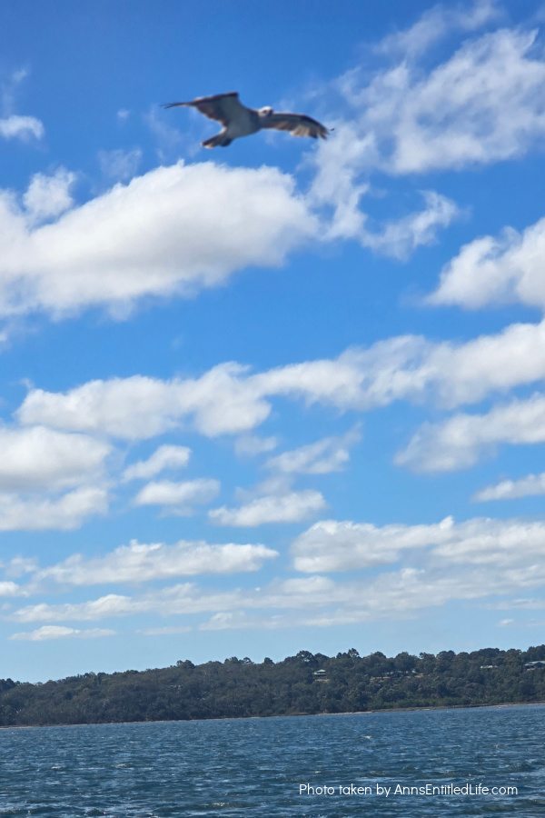 Adelaide to Perth: Our Australia Travel Stops Adelaide to Perth: Our Australia Travel Stops. Explore Adelaide, Port Lincoln, Esperance, Albany, Fremantle, and Perth with tips on scenic drives, coastal towns, local highlights, and travel planning advice.