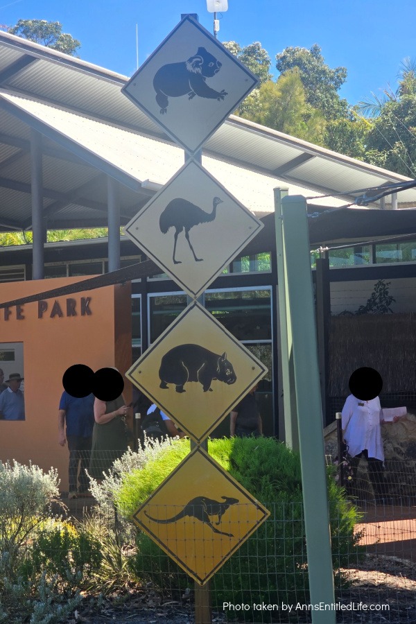 Adelaide to Perth: Our Australia Travel Stops Adelaide to Perth: Our Australia Travel Stops. Explore Adelaide, Port Lincoln, Esperance, Albany, Fremantle, and Perth with tips on scenic drives, coastal towns, local highlights, and travel planning advice.