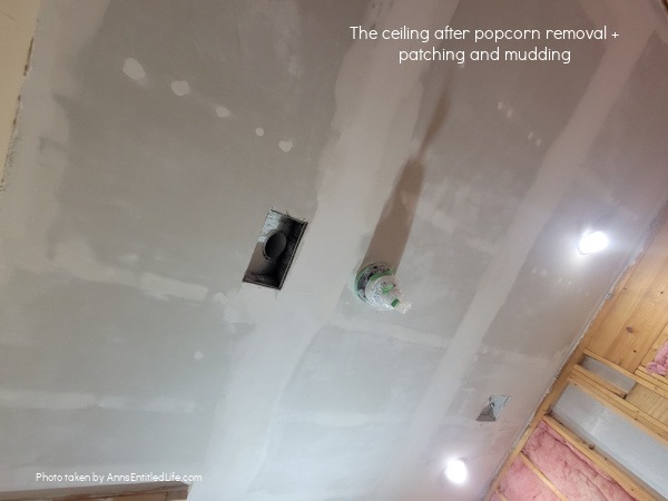 Master Bathroom Renovation: How We Transformed Our Master Bath Master Bathroom Renovation: How We Transformed Our Master Bath. The gut renovation of our 30 year old master bathroom - transformation renovation tips. This is how we upgraded our master bath adding function, style, and modern appeal to our home.