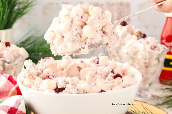 Cranberry Ambrosia Salad: Easy Holiday Recipe Cranberry Ambrosia Salad: Easy Holiday Recipe. With this simple recipe, you can make a creamy cranberry ambrosia salad. Blend tart cranberries with sweet ingredients for a refreshing, no-bake side dish perfect for gatherings!