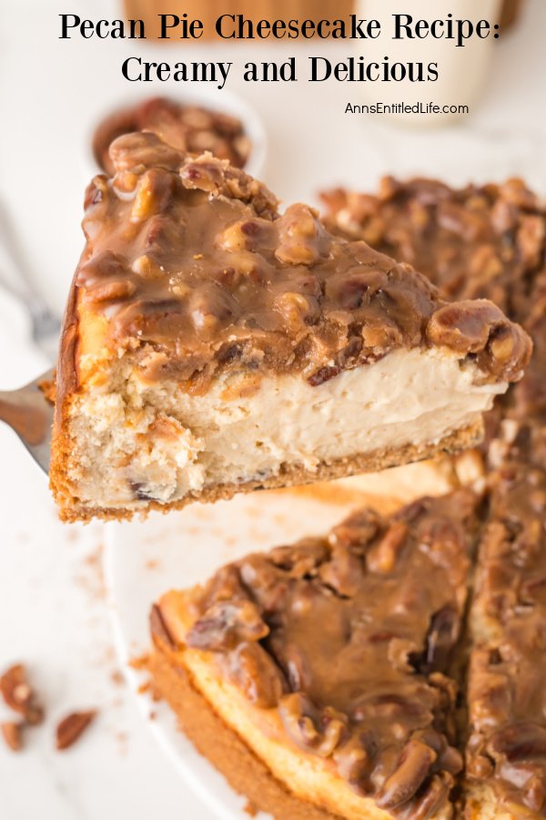 Pecan Pie Cheesecake Recipe: Creamy and Delicious Overhead view of a piece of pecan pie cheesecake being lifted from the cheesecake below.