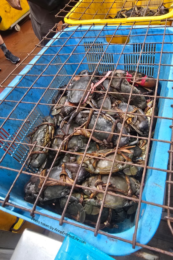 Our Two Days in Singapore: Itinerary & Attractions Our Two Days in Singapore: Itinerary & Attractions. Plan the ultimate 2-day trip to Singapore with must-see attractions, top food spots, and travel tips to make the most of a short city adventure.