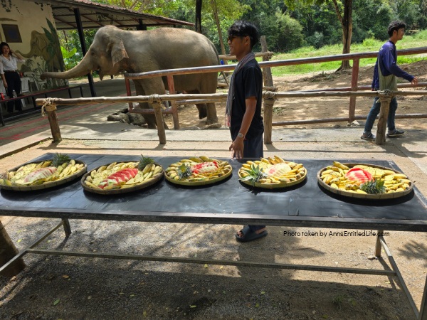 Short Stay in Thailand: Elephants, Food & Cultural Gems. Our short stay in Thailand with attractions, local cuisine, and travel tips. Dive into bustling markets, river life, and cultural highlights on this unforgettable escape.