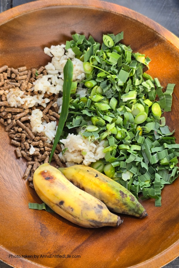 Short Stay in Thailand: Elephants, Food & Cultural Gems. Our short stay in Thailand with attractions, local cuisine, and travel tips. Dive into bustling markets, river life, and cultural highlights on this unforgettable escape.