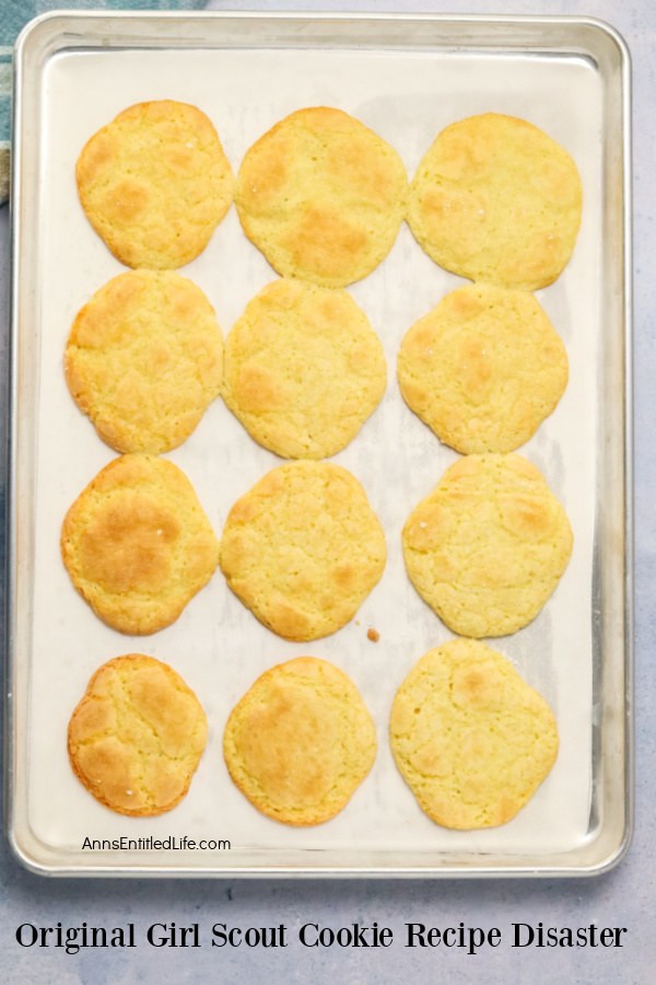 Overhead view of a loaf of homemade everything bread on a wire rack