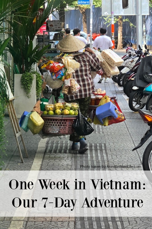 A Vietnamese street vendor walking down the street with her wares