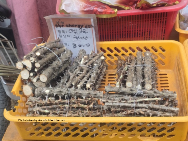 South Korea 4 Days: Seoul, Incheon, Busan, Jeju Island. Our 4-day South Korea cruise stops with Incheon to Seoul highlights. Our port excursions, transport, food, and itinerary and what we did.