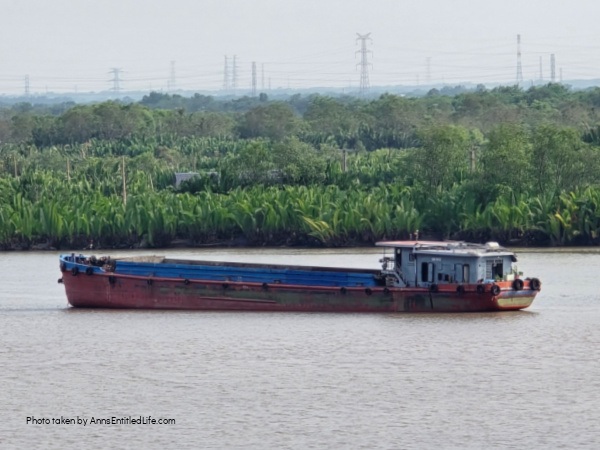 One Week in Vietnam: Our 7-Day Adventure. From the streets of Ho Chi Minh City to Ha Long Bay's emerald waters and beyond, this our personal itinerary packed with sights, street food, and cultural highlights.