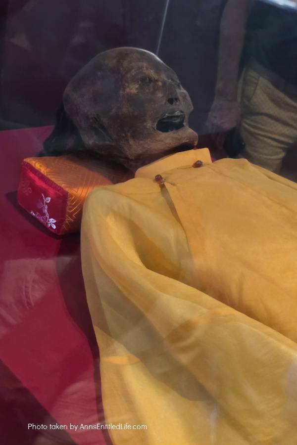 One Week in Vietnam: Our 7-Day Adventure. From the streets of Ho Chi Minh City to Ha Long Bay's emerald waters and beyond, this our personal itinerary packed with sights, street food, and cultural highlights.