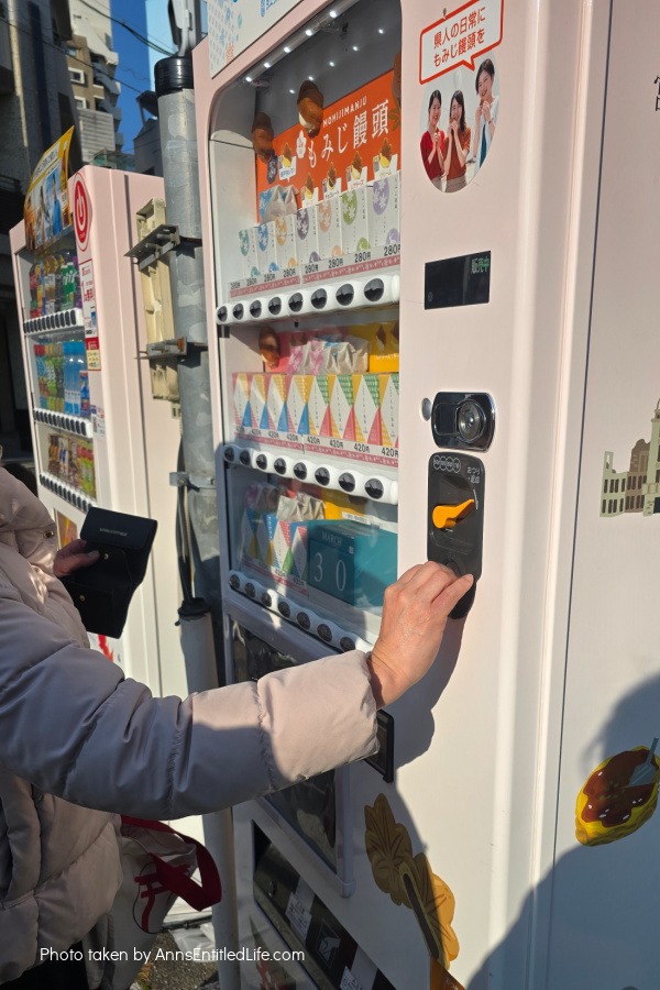 Japan Short Break in Fukuoka & Hiroshima. This was our short time highlights in Fukuoka and Hiroshima. Food and artistry in abundance as we visited the sites.