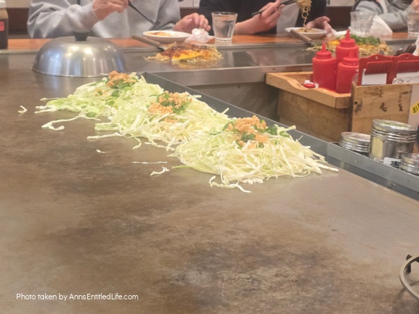 Japan Short Break in Fukuoka & Hiroshima. This was our short time highlights in Fukuoka and Hiroshima. Food and artistry in abundance as we visited the sites.