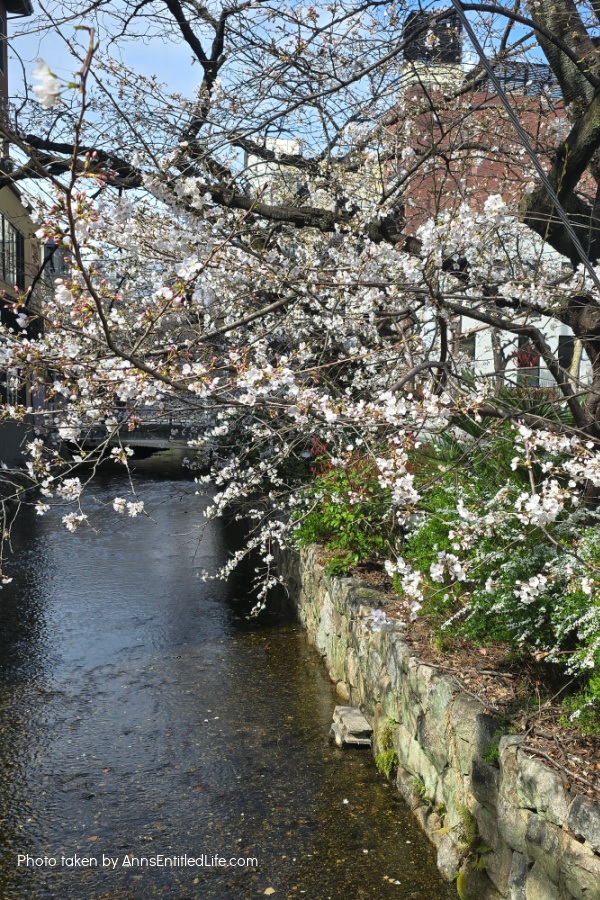 Kyoto & Osaka: Our Four Day Itinerary Kyoto & Osaka: Our Four Day Itinerary. This is our complete itinerary of the four days we spent in Kyoto and Osaka. We visited iconic temples, strolled through beautiful cherry blossoms, experienced a geiko (geisha) and maiko performance and enjoyed authentic Japanese food.