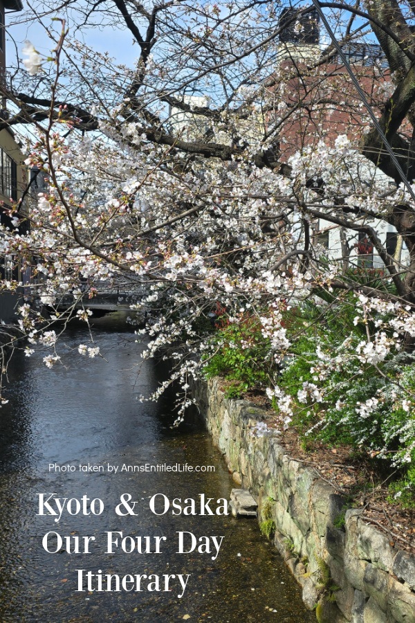 Kyoto & Osaka: Our Four Day Itinerary Cherry blossoms in Kyoto, Japan