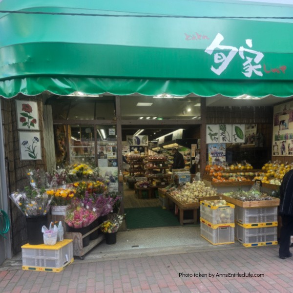Japan Cruise Stops: Yokohama, Mt Fuji, Kobe, Nagasaki & Kagoshima. This was our Japan vacation through Yokohama, Mt Fuji from Shimizu, Kobe, Nagasaki, and Kagoshima. We had scenic ports, iconic landmarks, and rich cultural experiences on this memorable cruise journey.