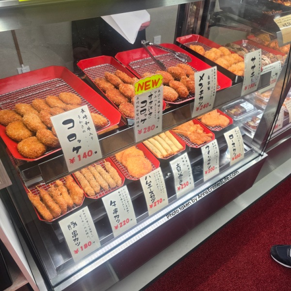 Japan Cruise Stops: Yokohama, Mt Fuji, Kobe, Nagasaki & Kagoshima. This was our Japan vacation through Yokohama, Mt Fuji from Shimizu, Kobe, Nagasaki, and Kagoshima. We had scenic ports, iconic landmarks, and rich cultural experiences on this memorable cruise journey.