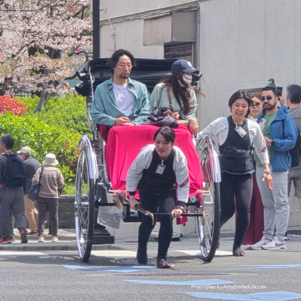 Japan Cruise Stops: Yokohama, Mt Fuji, Kobe, Nagasaki & Kagoshima. This was our Japan vacation through Yokohama, Mt Fuji from Shimizu, Kobe, Nagasaki, and Kagoshima. We had scenic ports, iconic landmarks, and rich cultural experiences on this memorable cruise journey.