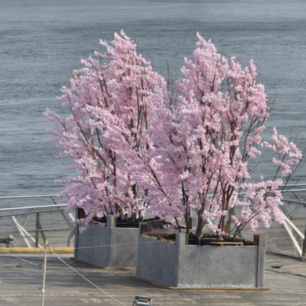 Japan Cruise Stops: Yokohama, Mt Fuji, Kobe, Nagasaki & Kagoshima. This was our Japan vacation through Yokohama, Mt Fuji from Shimizu, Kobe, Nagasaki, and Kagoshima. We had scenic ports, iconic landmarks, and rich cultural experiences on this memorable cruise journey.